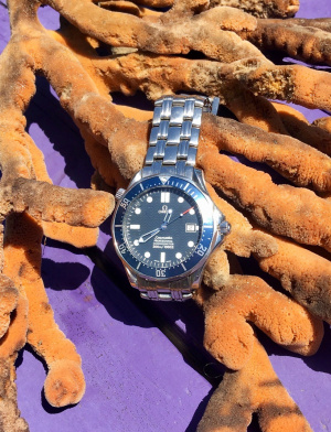 Omega sm300 diver.jpg